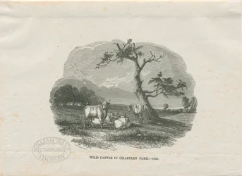 Chartley Hall - Park: träsnittsgravyr
