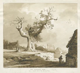 Norbury Village - "The Norbury Elm": sepiafärgad teckning