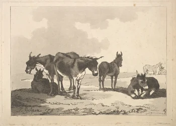 En grupp av fem åsnor, tre stående, två liggande, 1783-87.