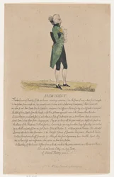 En ny insekt, 12 maj 1784, 12 maj 1784.