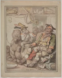Jämförande anatomistudie