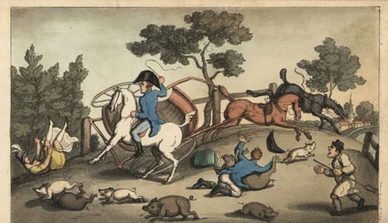 Johnny and a Lady kraschar en spelning i en flock svin. Handkolorerad kopparstick av W. Läst efter en illustration av Thomas Rowlandson från Alfred Burtons The Adventures of Johnny Newcombe in the Navy, Simpkin, London