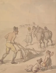 Plöjning