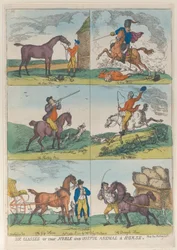Sex klasser av det ädla och användbara djuret en häst, 10 oktober 1811, 10 oktober 1811.