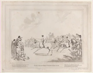 Race Horse från The Life of a Racehorse, eller The High-Mettled Racer, 20 juli..., 20 juli 1789