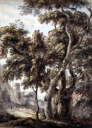 Study of Trees (penna & bläck och akvarell på papper)