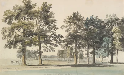 The Moat Island, Windsor Great Park, 1754-55.