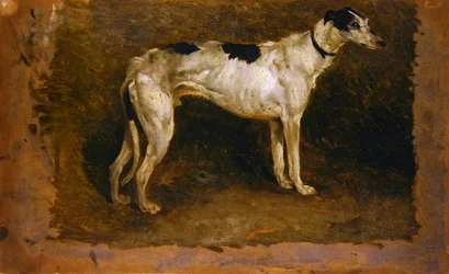 A Lurcher (olja på papper)