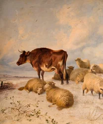 Kor och får i Snowscape, 1864