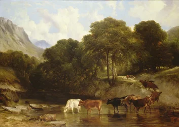 Bevattningsplatsen