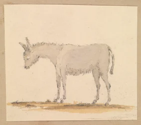 Studie av en åsna, ca 1820 (penna och bläck, lavering, akvarell)