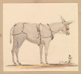 Studie av en åsna med träns och sele, ca 1820 (blyerts med brun och grå lav på papper)