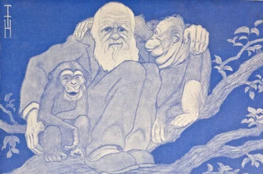 Karikatyr av Darwin med apor, detalj, 1909