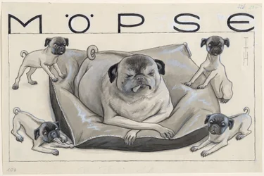 Mopsar