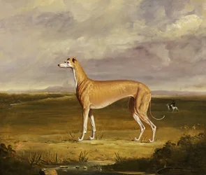 The Greyhound, ca 1830 (olja på duk)