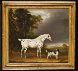 Appaloosa häst och spaniel, 1807