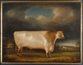 Komet, en lätt stönande korthornstjur i ett landskap, 1811