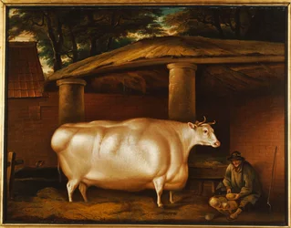 Den vita kvigan som reste, med en man som skär kålrot på en stallgård, 1811