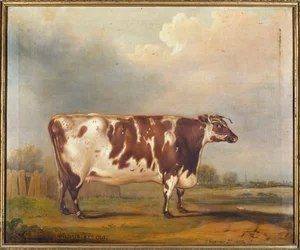 Wildair, en åttaårig kviga i ett flodlandskap, 1827