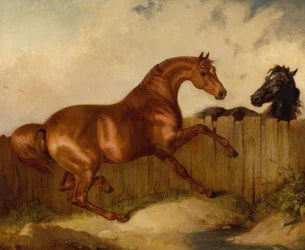 Hingst och sto (olja på duk)