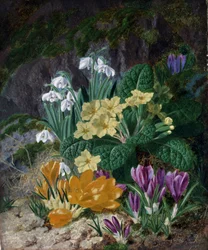 Vårblommor (bl.a. krokus och gullvivor). Målning av Thomas Worsey (1829-1875) Privat samling.