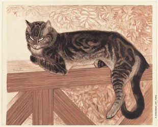 Sommar: Katt på en balustrad