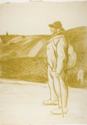 Luffaren