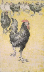Tupp, följd av svarta och vita hönor, 1899