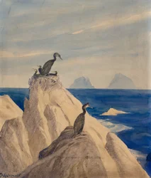 Northern Gannets (penna och akvarell på papper)