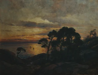 Tall vid solnedgången