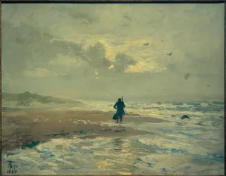 Strandutsikt. Filialer nära Skagen