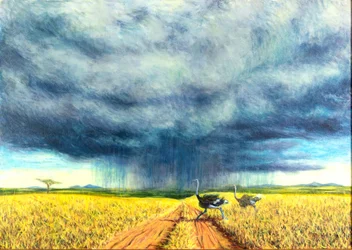 African Storm, 2016,
