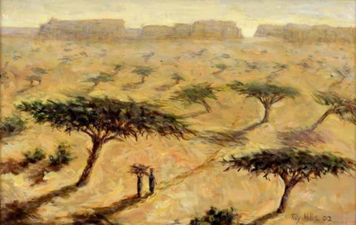 Sahellandskap, 2002