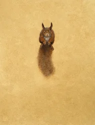 Leaping Red Squirrel - (akvarell och gouache på papper)