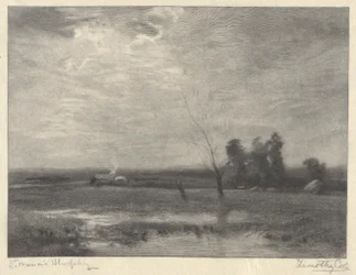 Landskap, eftermiddag