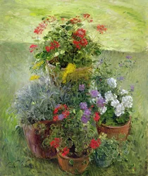 Shaded Pots (olja på duk)