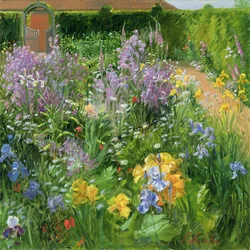 Hesperis, fingerborgsblommor och iris, 2000