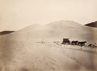 Sanddyner, Carsonöknen, Nevada
