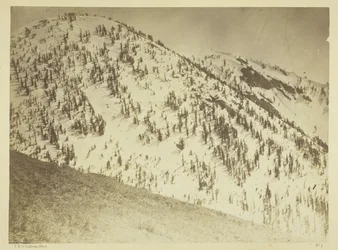 Snow Peaks, Bull Run gruvdistrikt, Nevada