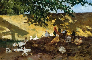 Ankor och höns på en bondgård