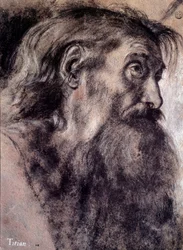 Gammal mans huvud Teckning av Tiziano Vecellio kallad Titian (1485-1576) 1500-talets Paris, Louvren