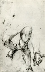 Studie för St Lawrences martyrskap i Venedig, c1550, 1937