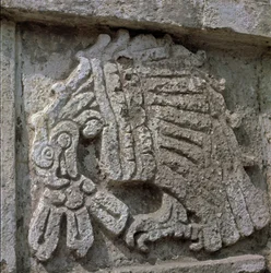 Relief av en örn, Quetzalcoatls tempel