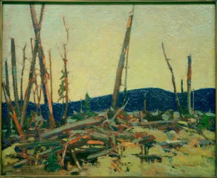 Bränt land