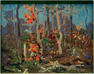 Ragged Oaks