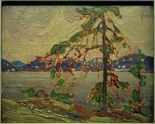 The Jack Pine (skiss)