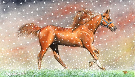 Julsnö