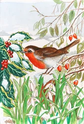 Robin och snödroppar