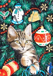 Tabby julkattunge