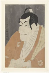 Del s Tepo RT Re t Van Ichikawa Grape Dye V